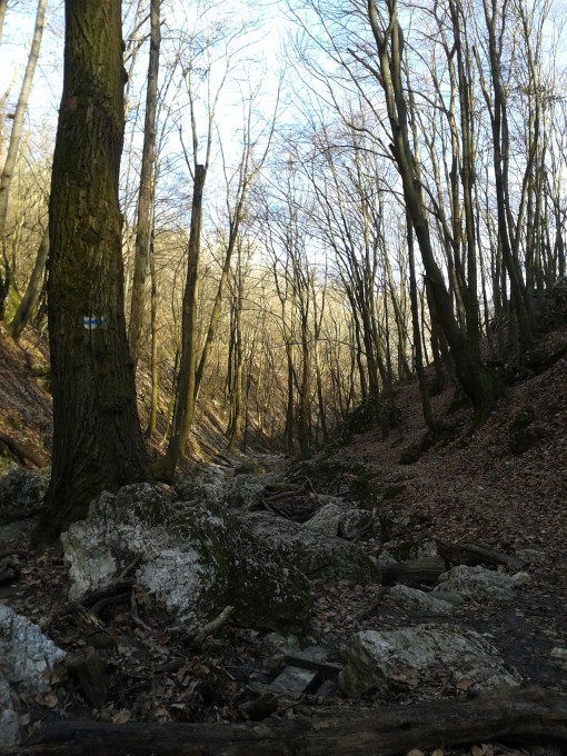 2013-03-03 13.41.17.jpg